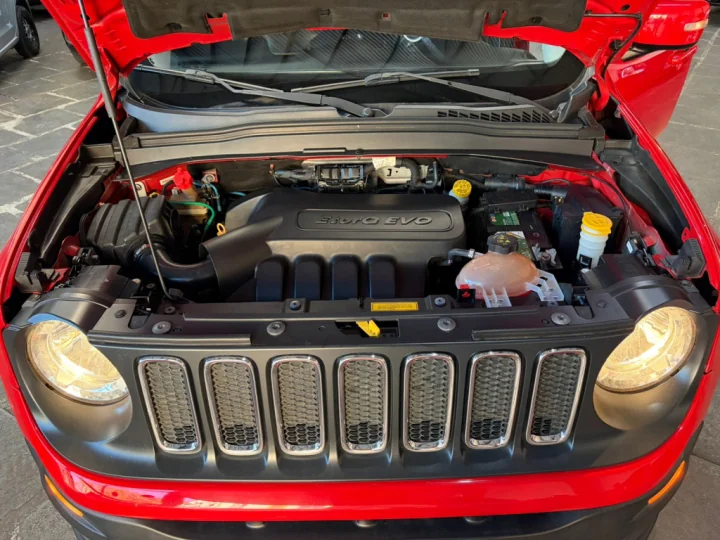 RENEGADE LONGITUDE FLEX
